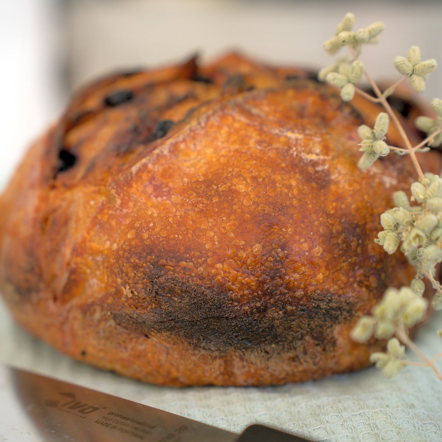 Sourdough Classic Bread