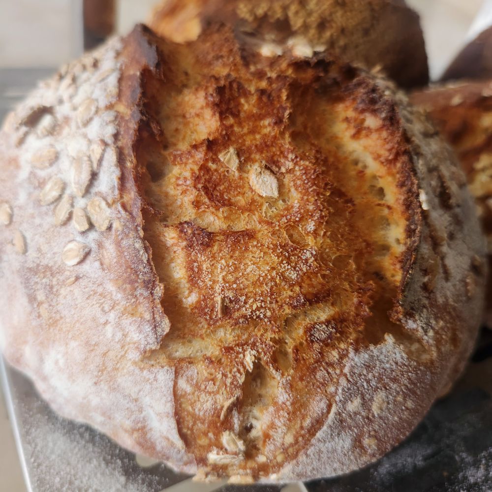 Oat and Seeds Sourdough Bread