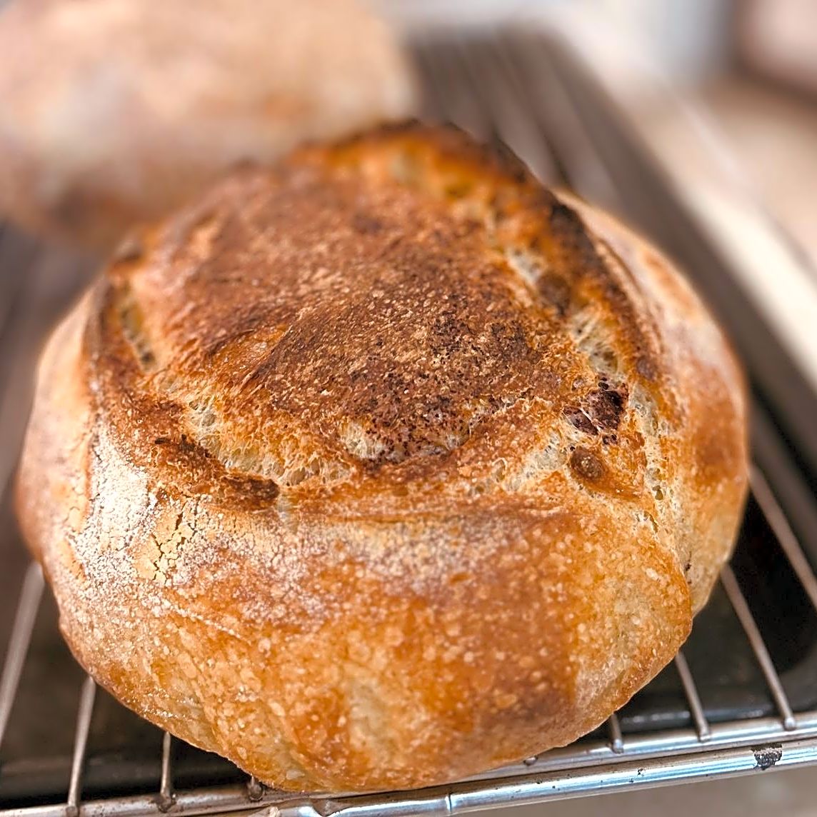 sourdough-classic-bread